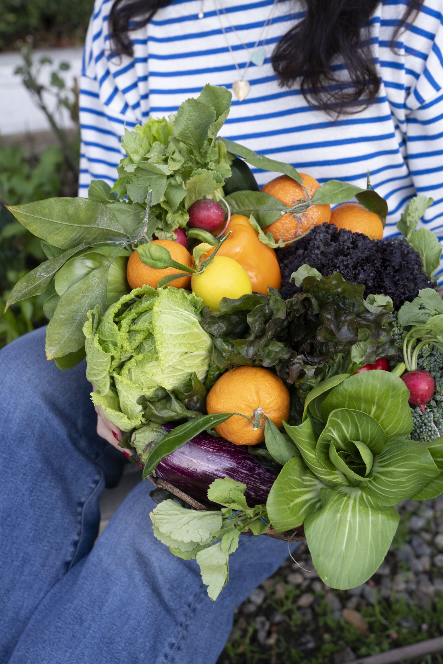 Fresh harvest of oranges, radishes, and greens from a Dana Point garden