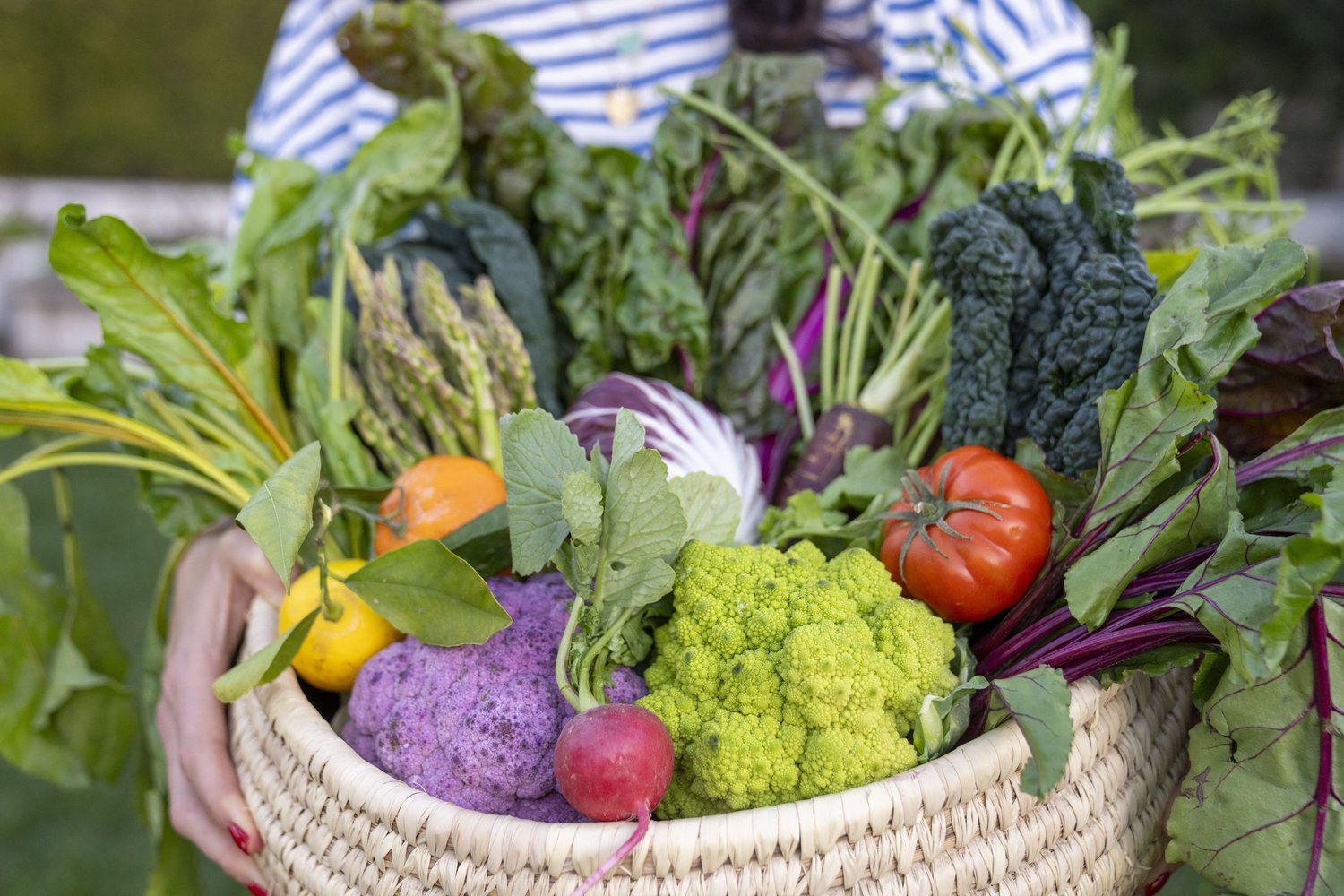 Abundant harvest basket overflowing with colorful organic vegetables
